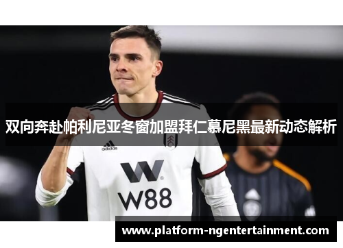 双向奔赴帕利尼亚冬窗加盟拜仁慕尼黑最新动态解析