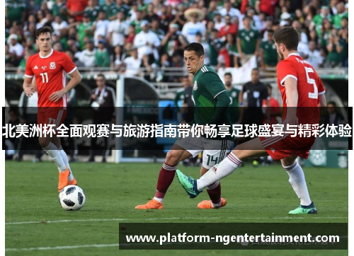 北美洲杯全面观赛与旅游指南带你畅享足球盛宴与精彩体验