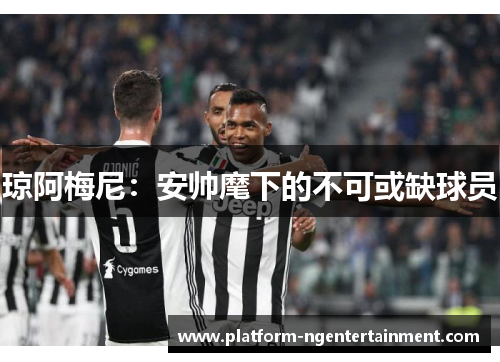 琼阿梅尼：安帅麾下的不可或缺球员