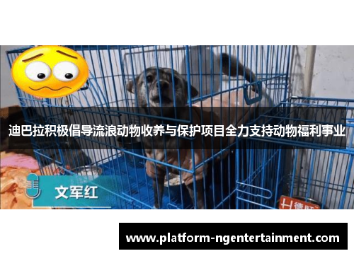 迪巴拉积极倡导流浪动物收养与保护项目全力支持动物福利事业 迪巴拉积极倡导流浪动物收养与保护项目全力支持动物福利事业