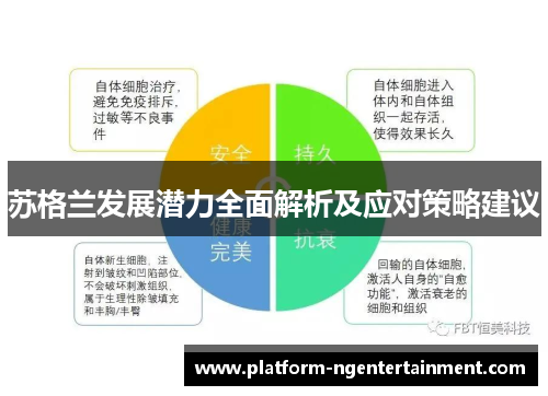 苏格兰发展潜力全面解析及应对策略建议