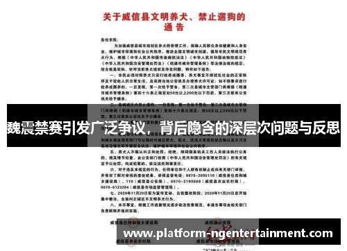 魏震禁赛引发广泛争议，背后隐含的深层次问题与反思